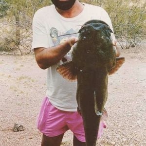 Meet your Posher, Troy